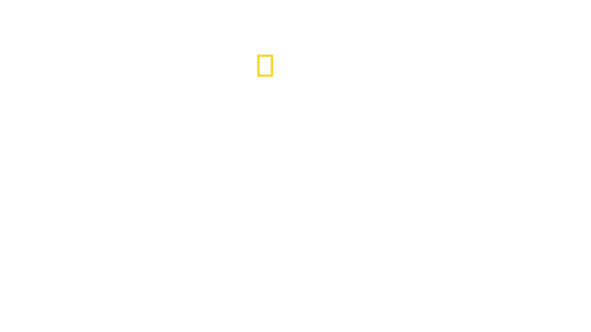 Bertie Gregory Köpekbalıkları İle Yüz Yüze