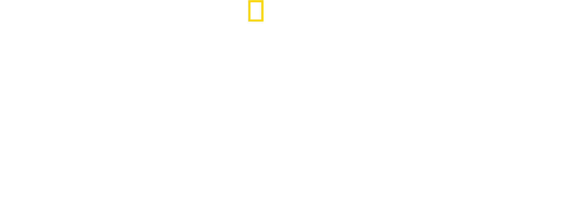 Bertie Gregory Köpekbalıkları İle Yüz Yüze
