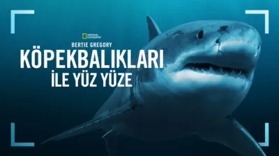 Bertie Gregory Köpekbalıkları İle Yüz Yüze