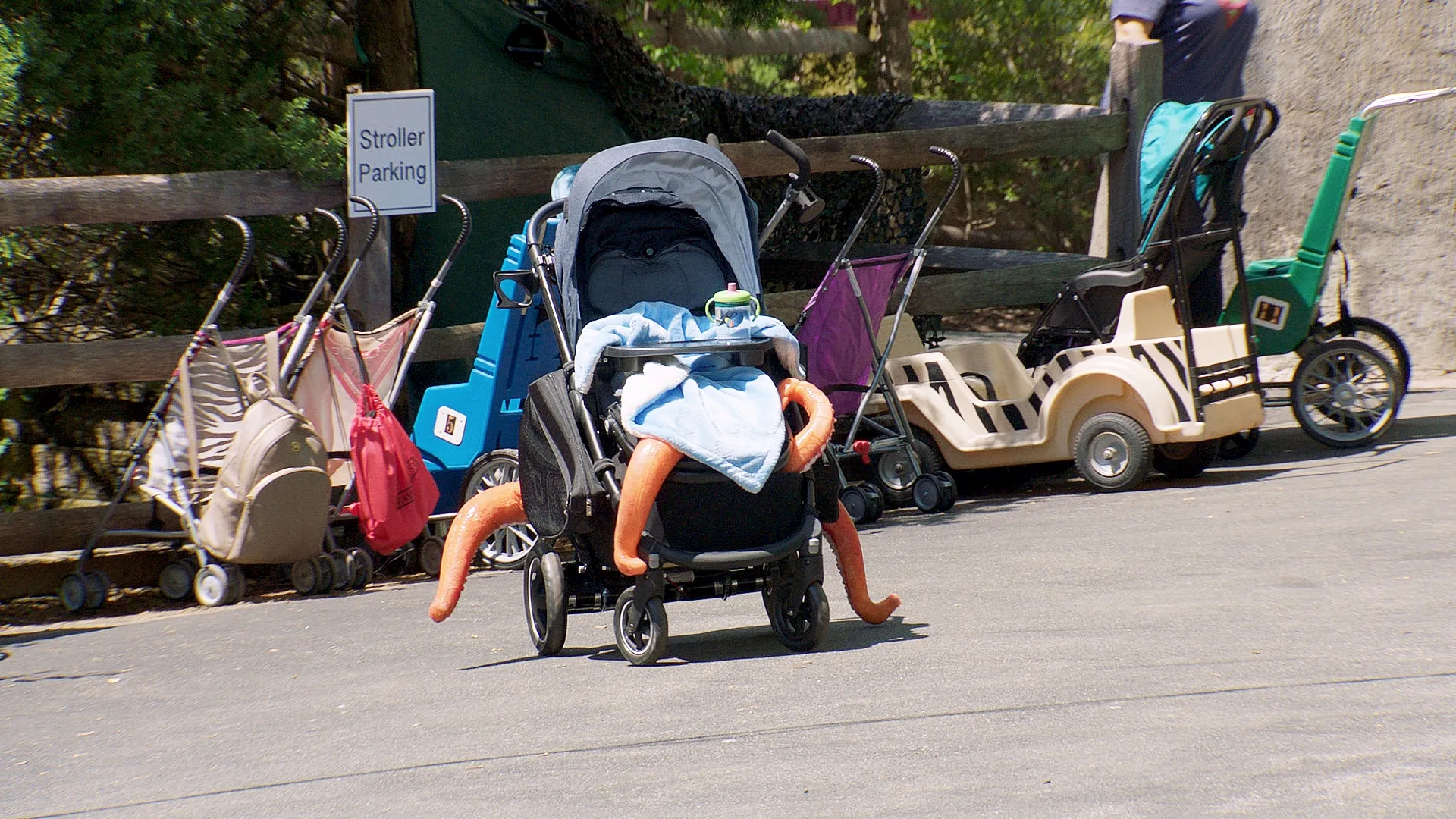 thumbnail - S1：第2話「ファインディング・ドリー：ドリーが逃げた！」