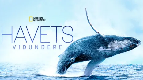 thumbnail - Havets vidundere