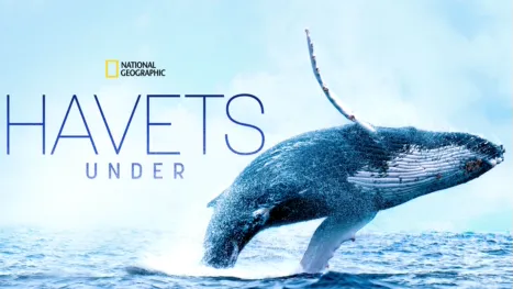 thumbnail - Havets under