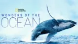 thumbnail - Wonders of the Ocean