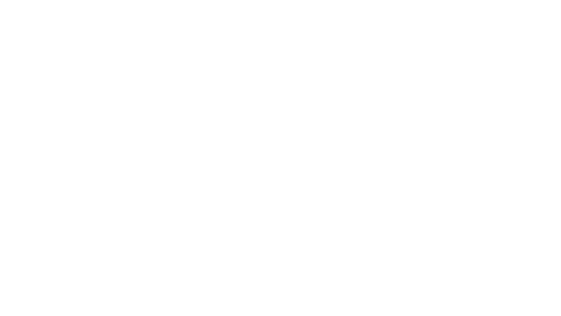 ウォッチャー　不正捜査官たちの真実