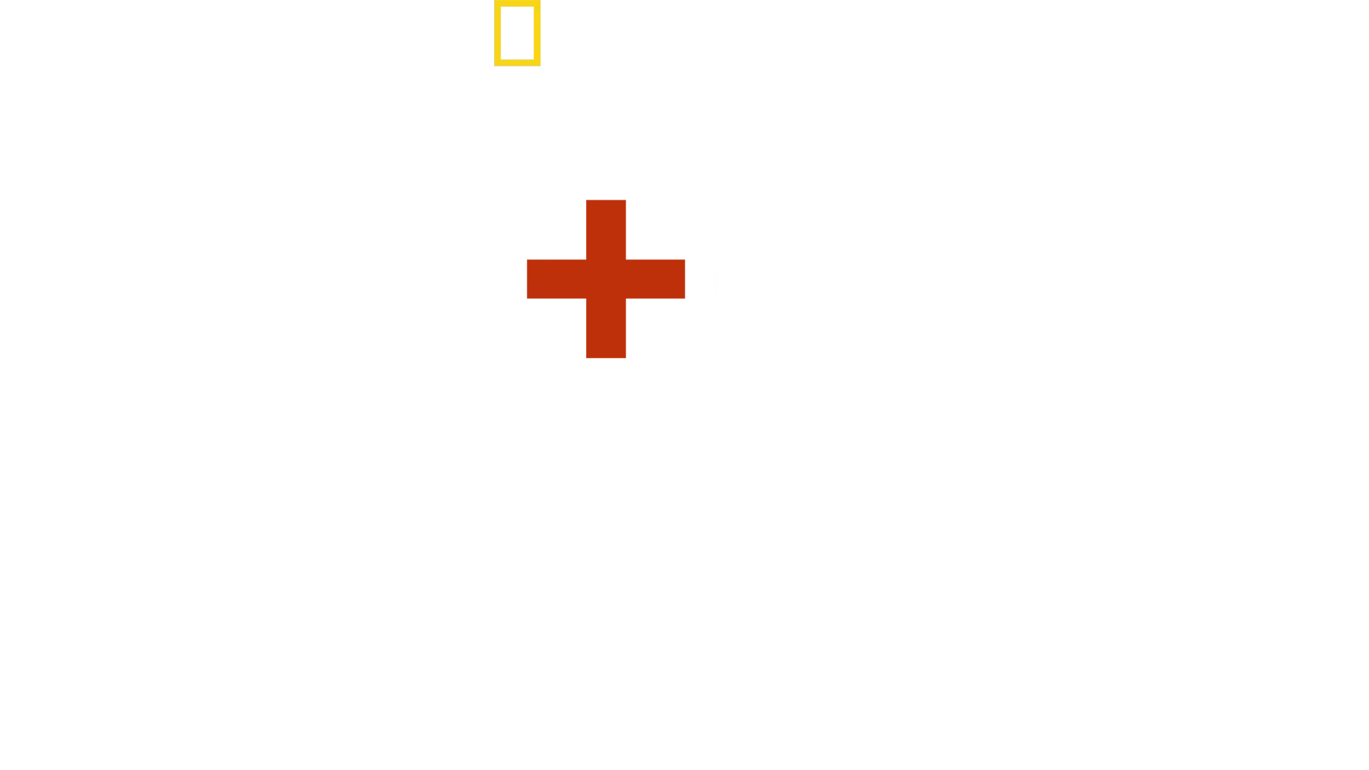 Love+War: Zwischen Krieg und Familie
