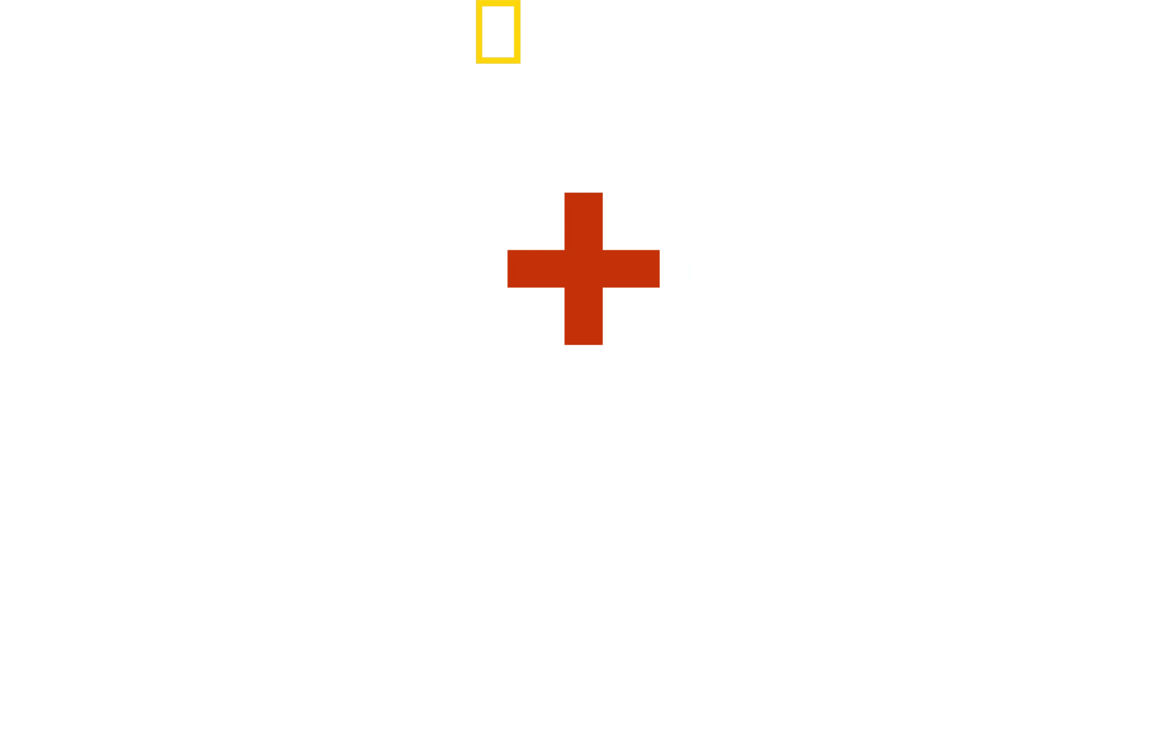 Love+War: Zwischen Krieg und Familie