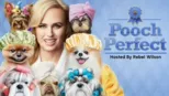 thumbnail - Pooch Perfect