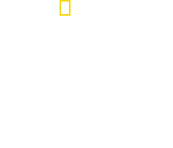 Dentro de las SS