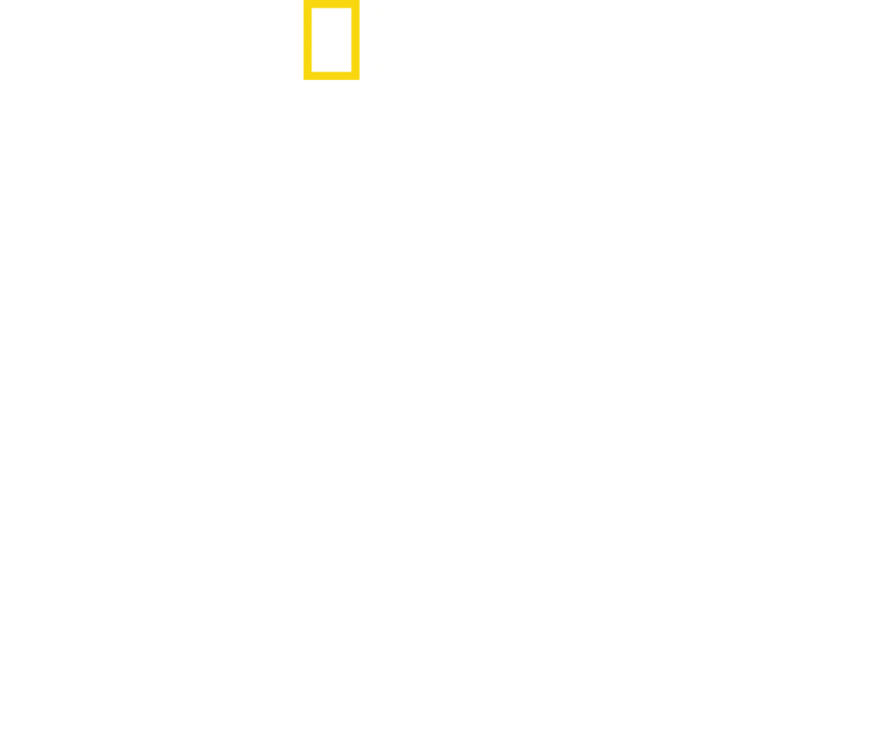 Dentro de las SS