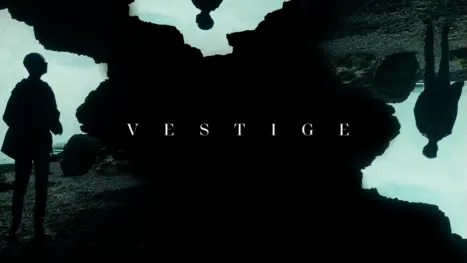 thumbnail - Vestige