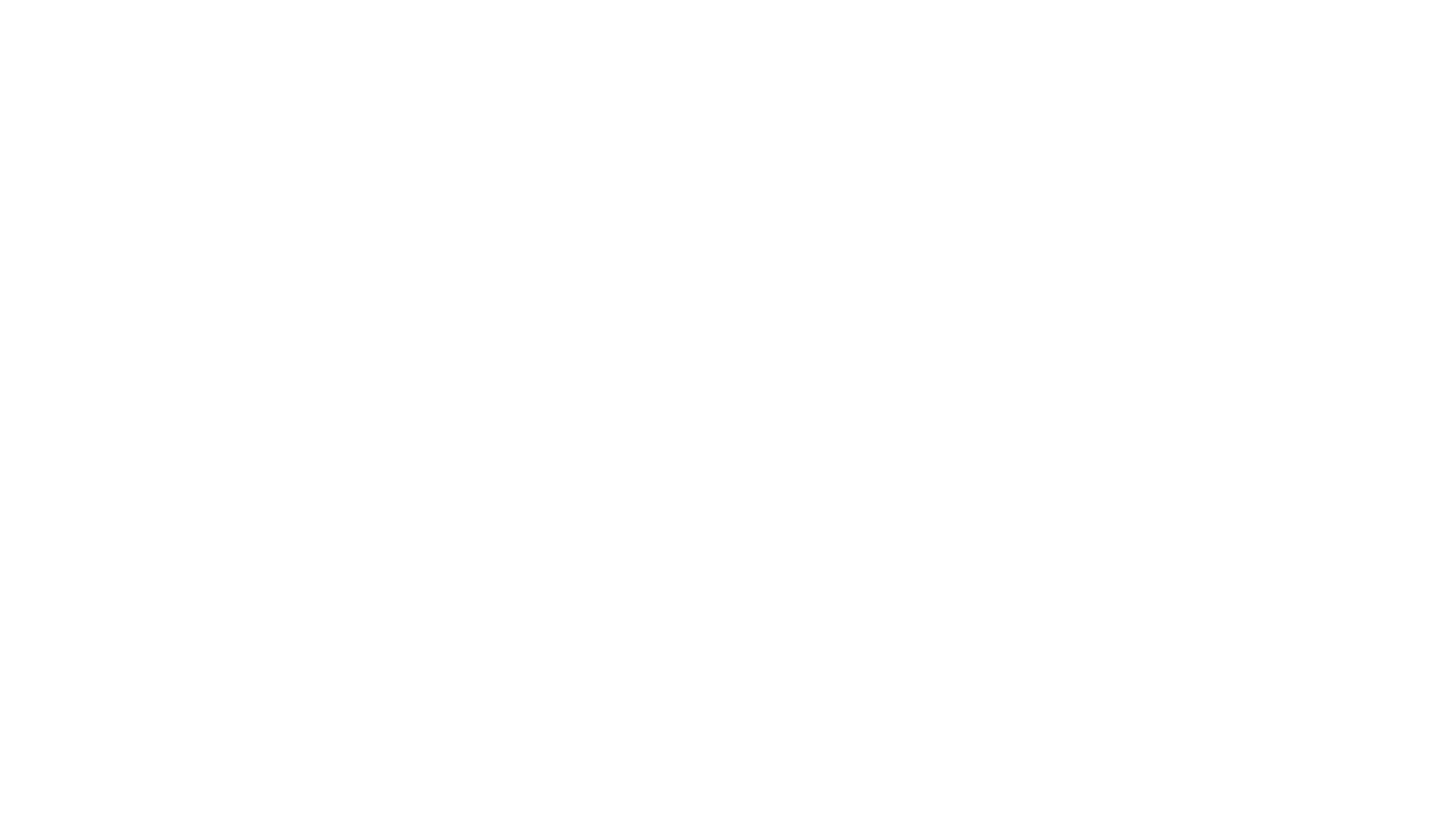 We are Artists not Vandals - Stew