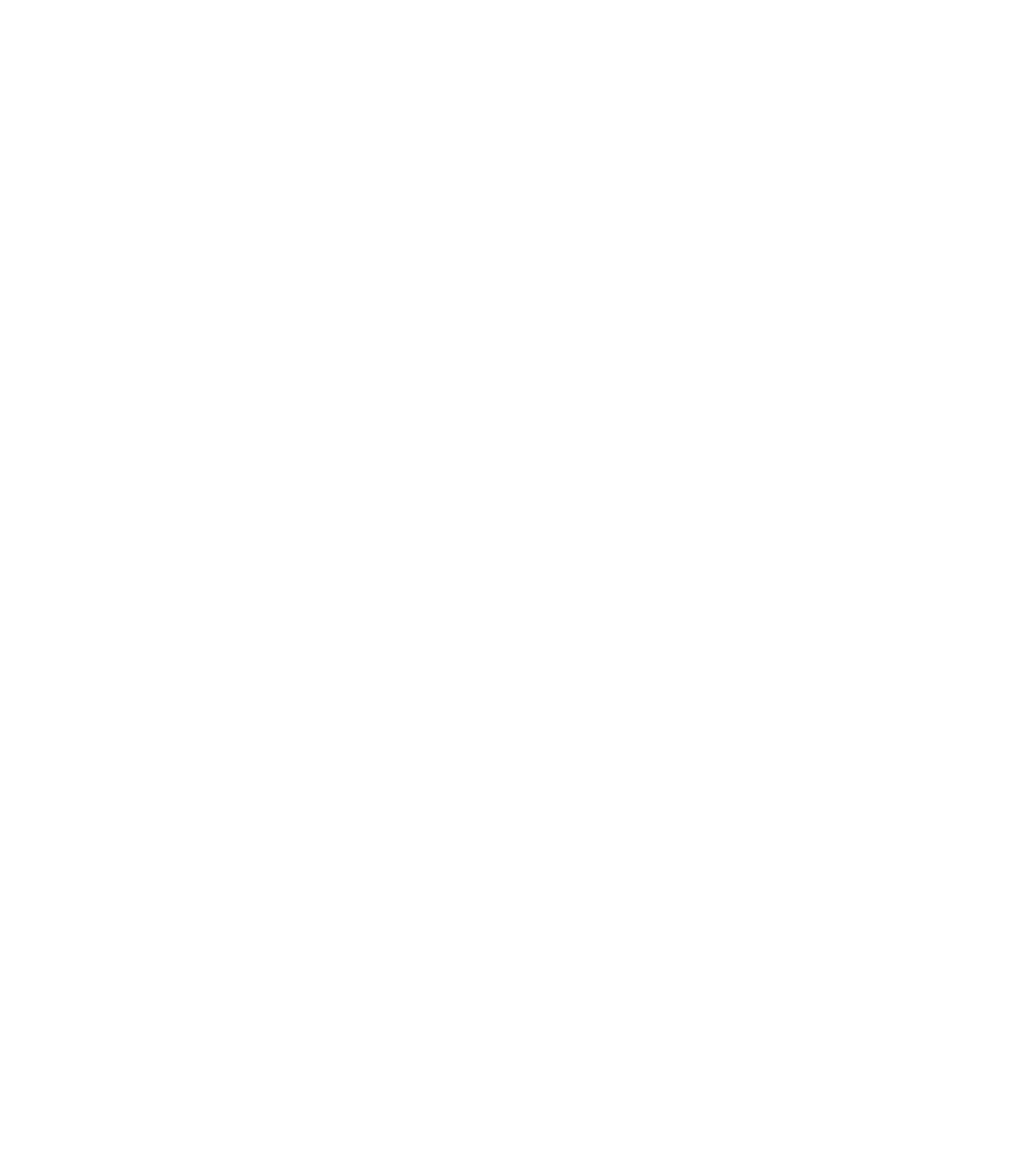 We are Artists not Vandals - Stew