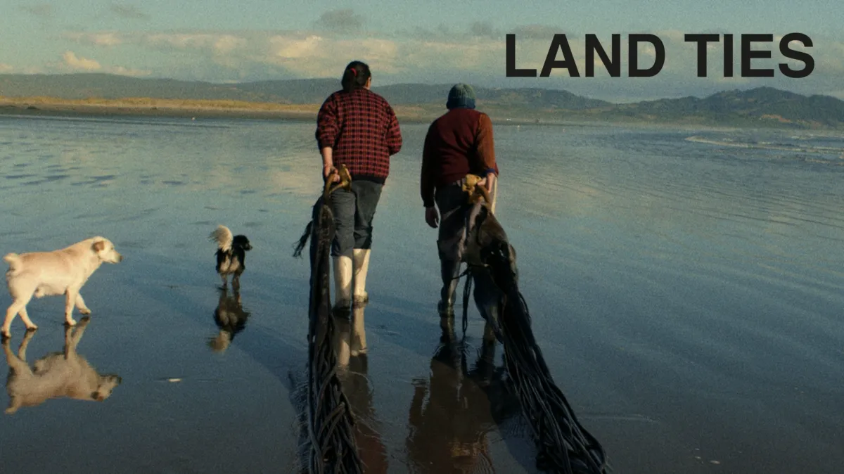 Land Ties ansehen | Disney+