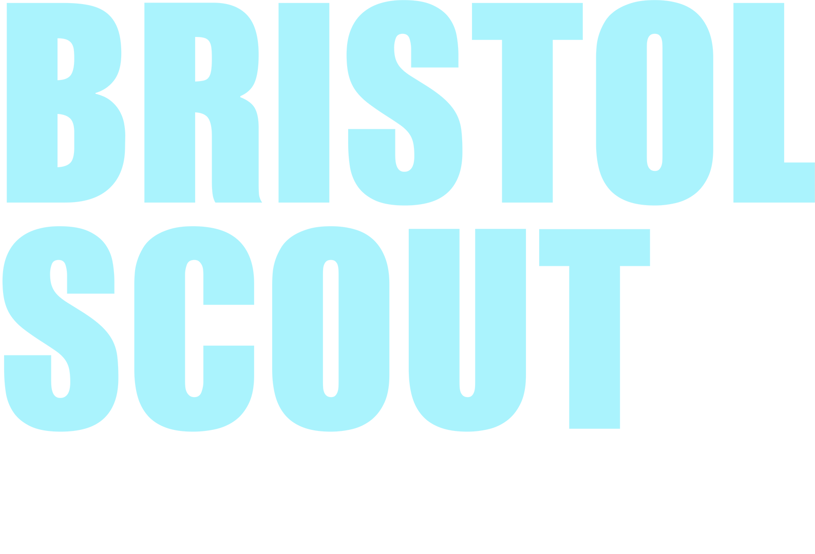 Bristol Scout