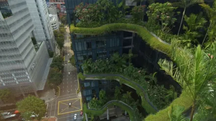 Cities Reinvented New York - Tokyo - Singapore