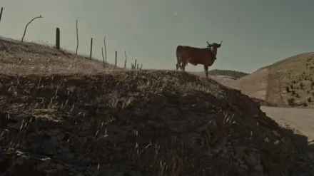 Transhumance - Routes of a Disappearing Life