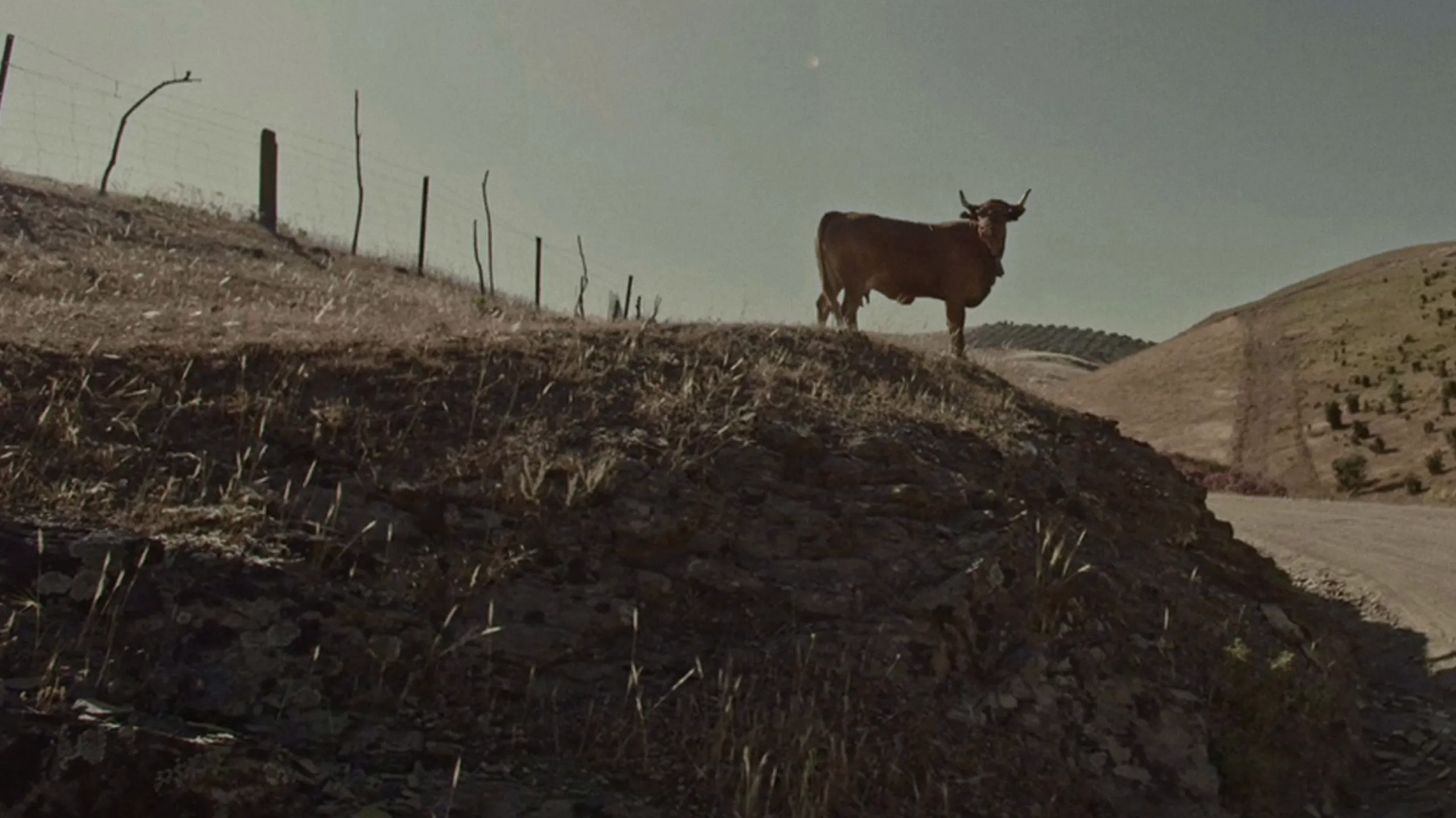 Transhumance - Routes of a Disappearing Life