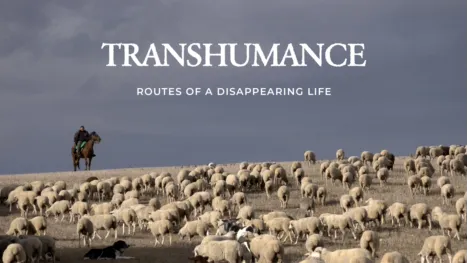 thumbnail - Transhumance - Routes of a Disappearing Life