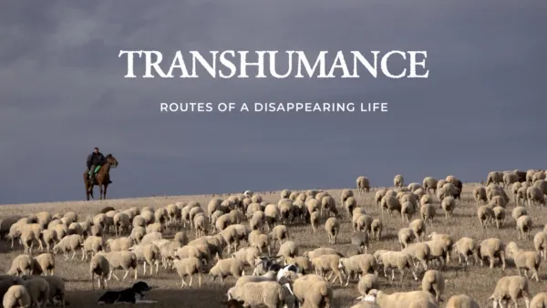 thumbnail - Transhumance - Routes of a Disappearing Life