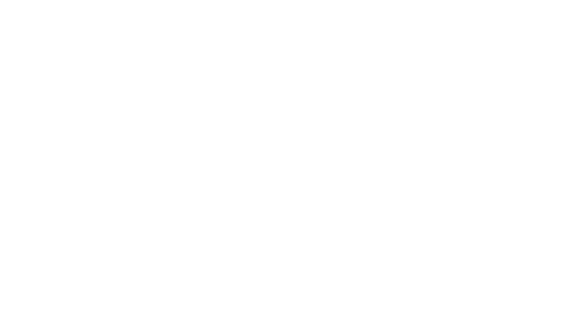 Secret of The Wings