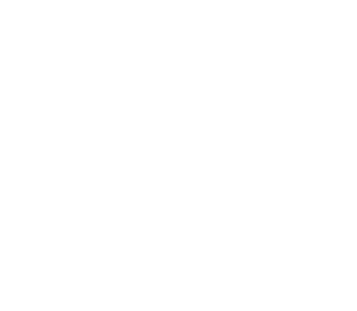Secret of The Wings