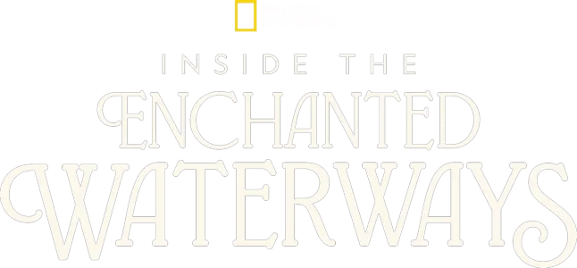 Inside the Enchanted Waterways