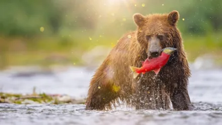 Secrets of the Enchanted Waters