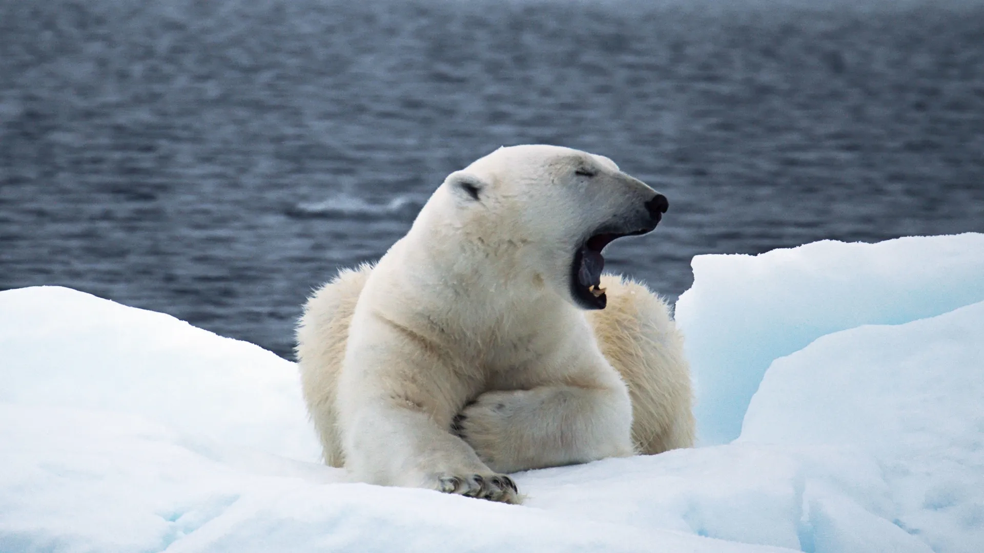 thumbnail - S1:E6 Frozen