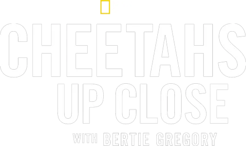 Cheetahs Up Close with Bertie Gregory