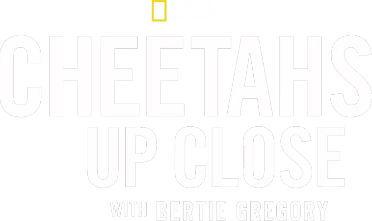 Cheetahs Up Close with Bertie Gregory