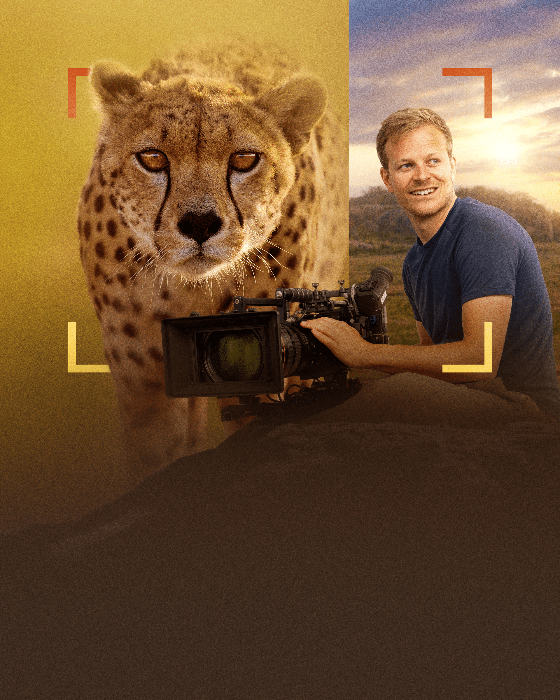 Cheetahs Up Close with Bertie Gregory