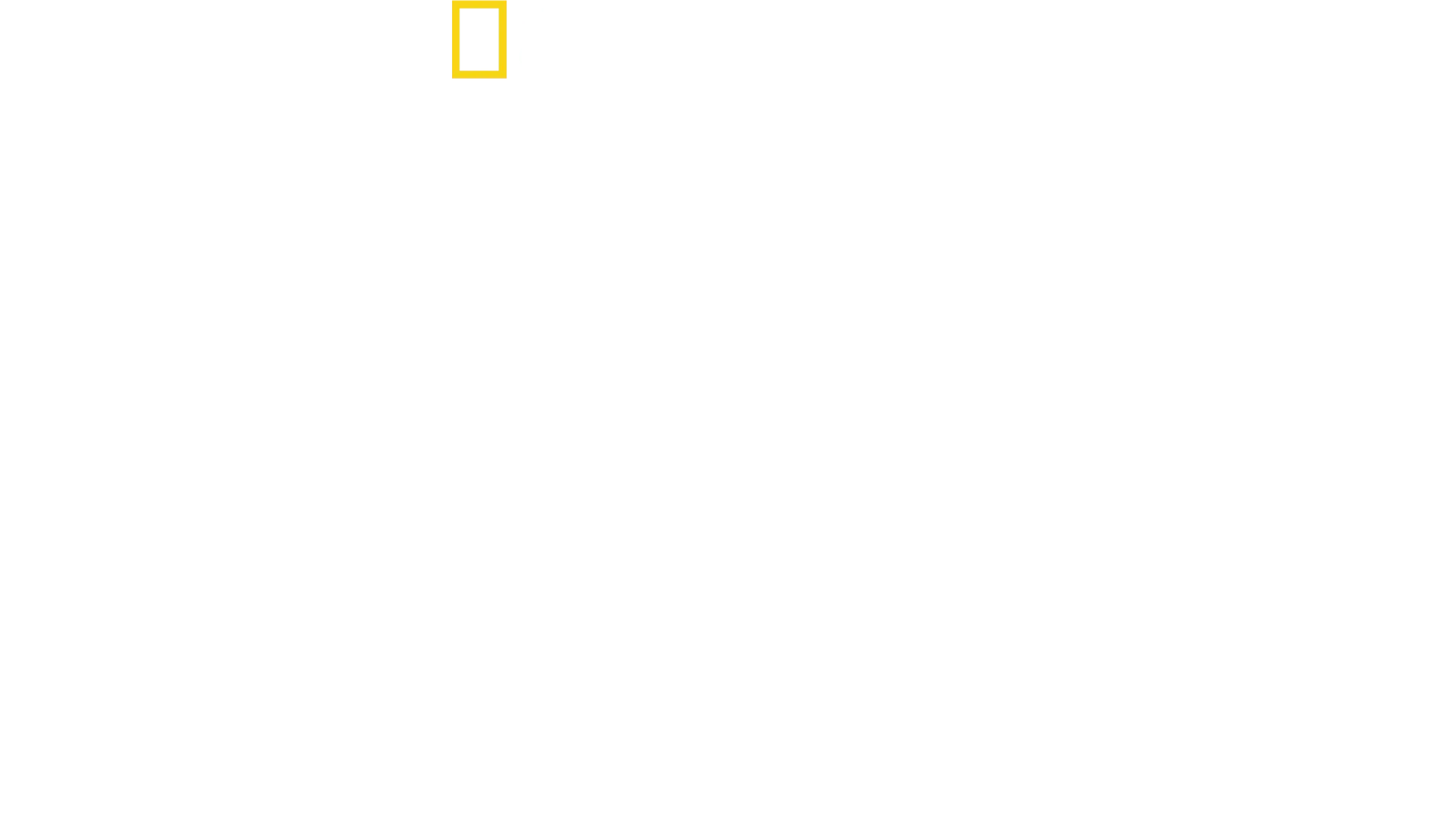 Gepardi zblízka s Bertiem Gregorym
