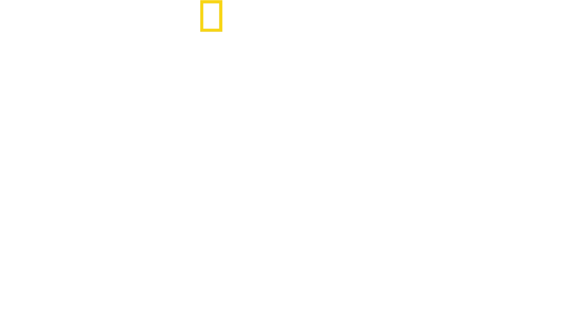 Geparde hautnah mit Bertie Gregory