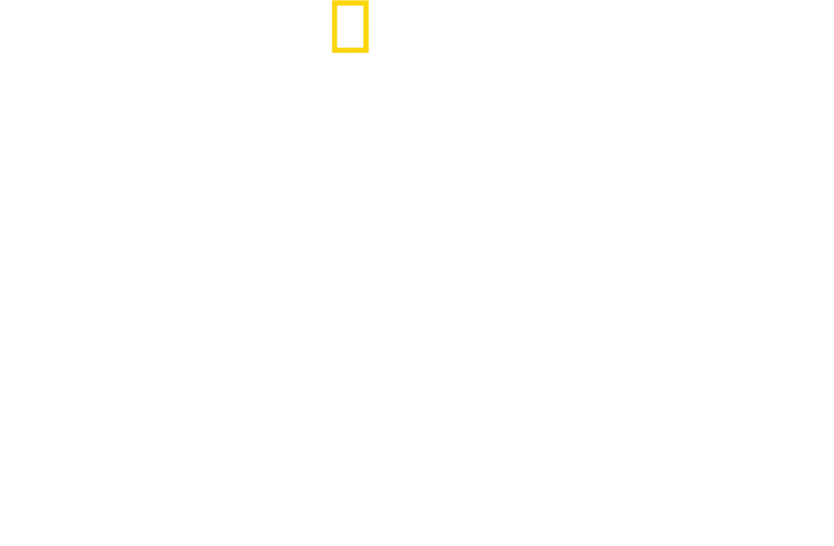 Geparde hautnah mit Bertie Gregory