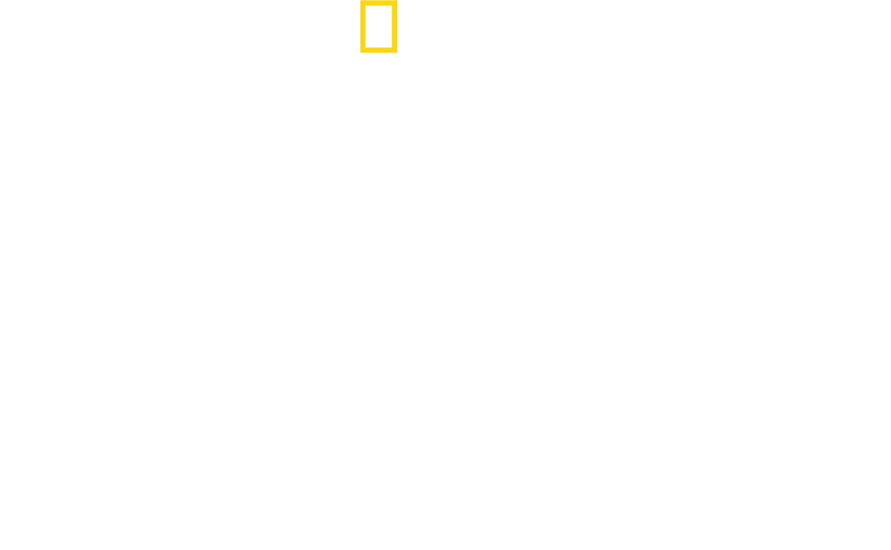 Cheetahs Up Close with Bertie Gregory