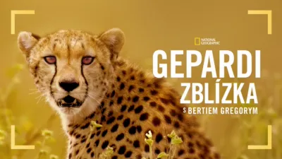 thumbnail - Gepardi zblízka s Bertiem Gregorym