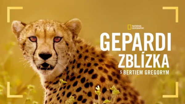 thumbnail - Gepardi zblízka s Bertiem Gregorym
