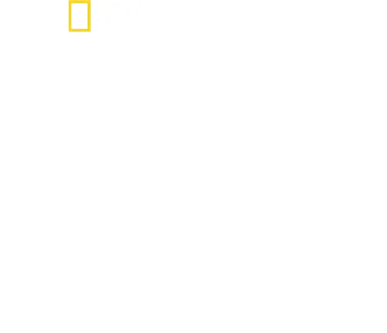 버티 그레고리의 치타 클로즈 업