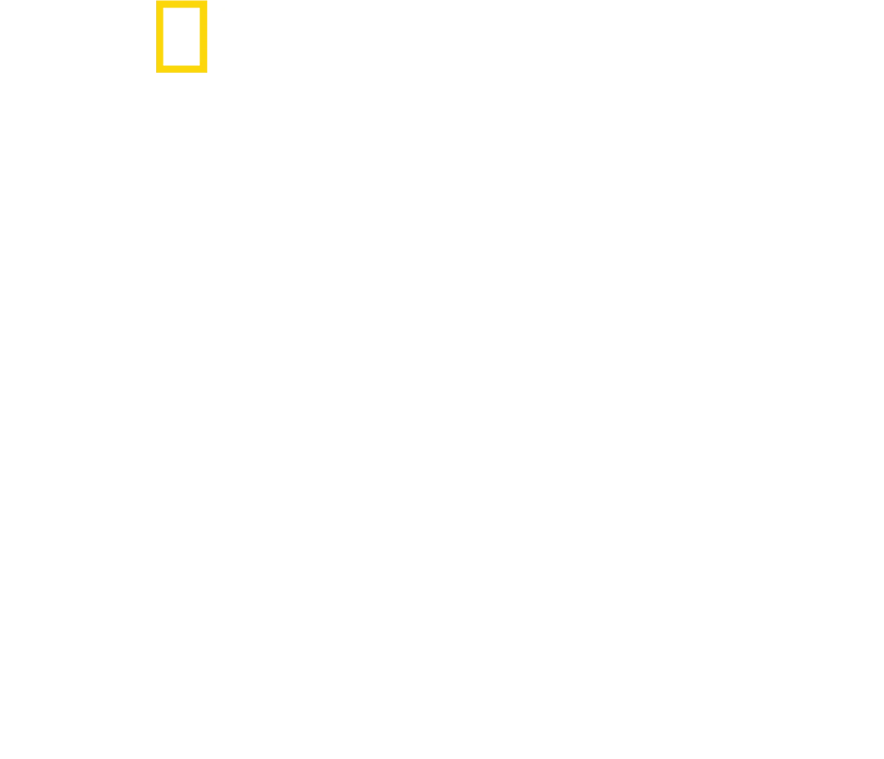버티 그레고리의 치타 클로즈 업