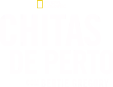 Chitas de Perto com Bertie Gregory