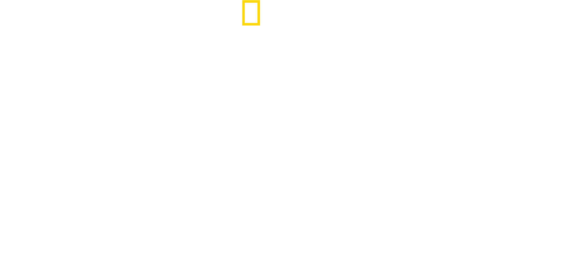 Γατόπαρδοι από Κοντά με τον Μπέρτι Γκρέγκορι