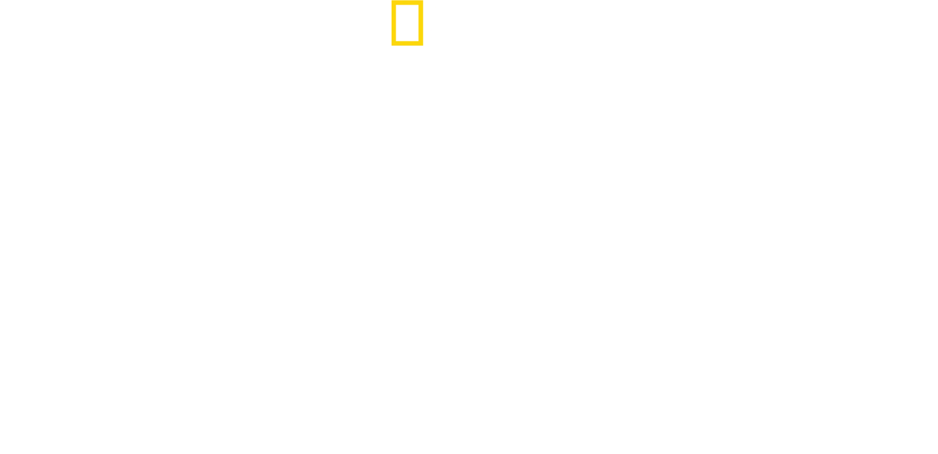 Guepardos en primer plano con Bertie Gregory