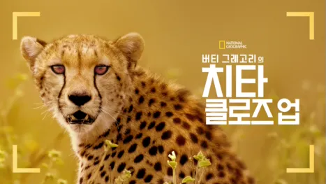 thumbnail - 버티 그레고리의 치타 클로즈 업