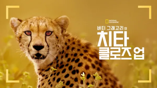 thumbnail - 버티 그레고리의 치타 클로즈 업