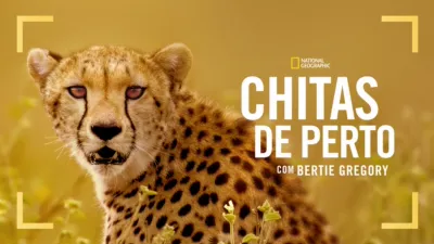 thumbnail - Chitas de Perto com Bertie Gregory