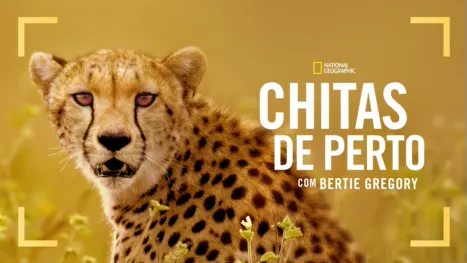 thumbnail - Chitas de Perto com Bertie Gregory