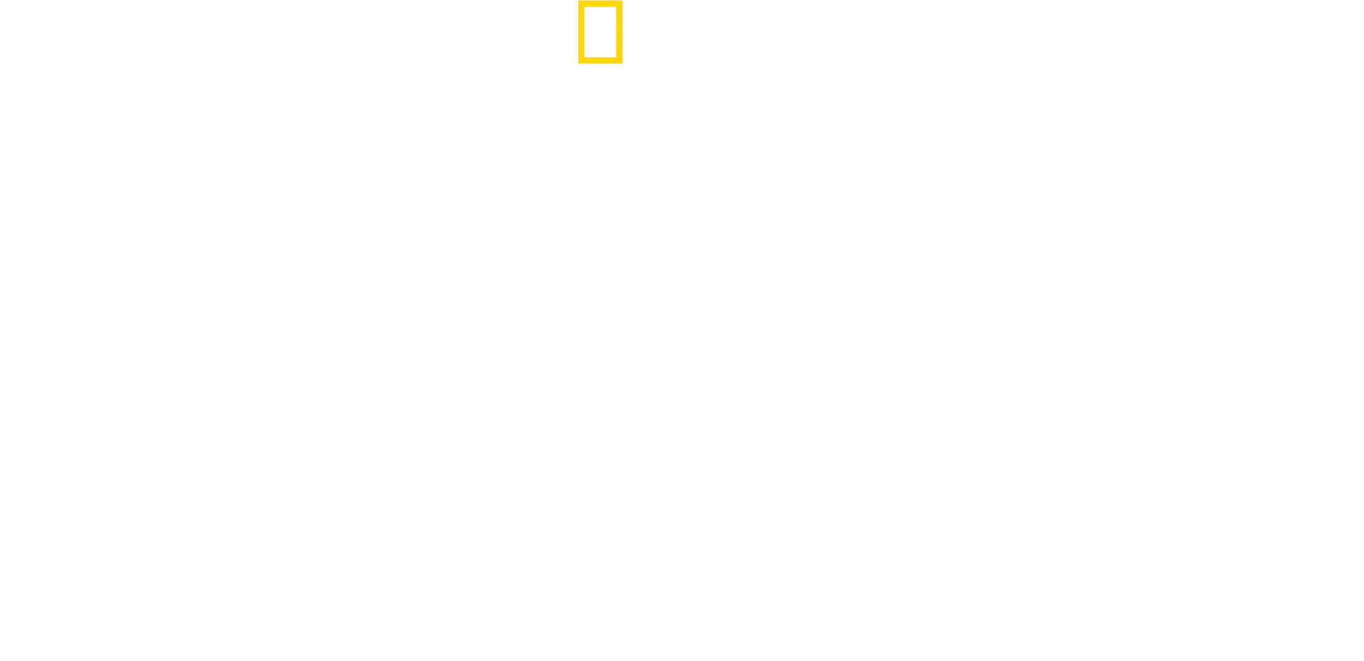 Bertie Gregory: A tu per tu con i Ghepardi