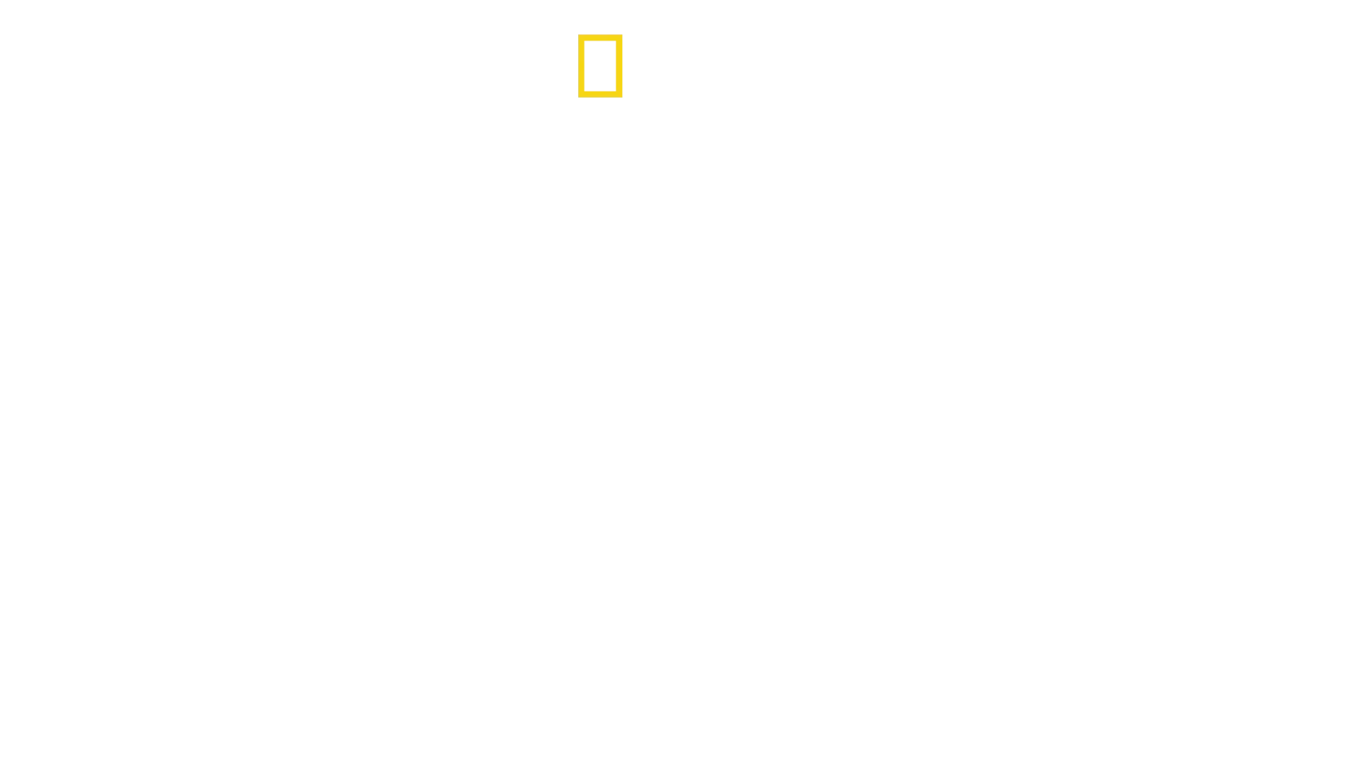 A gepárdok világa Bertie Gregoryval