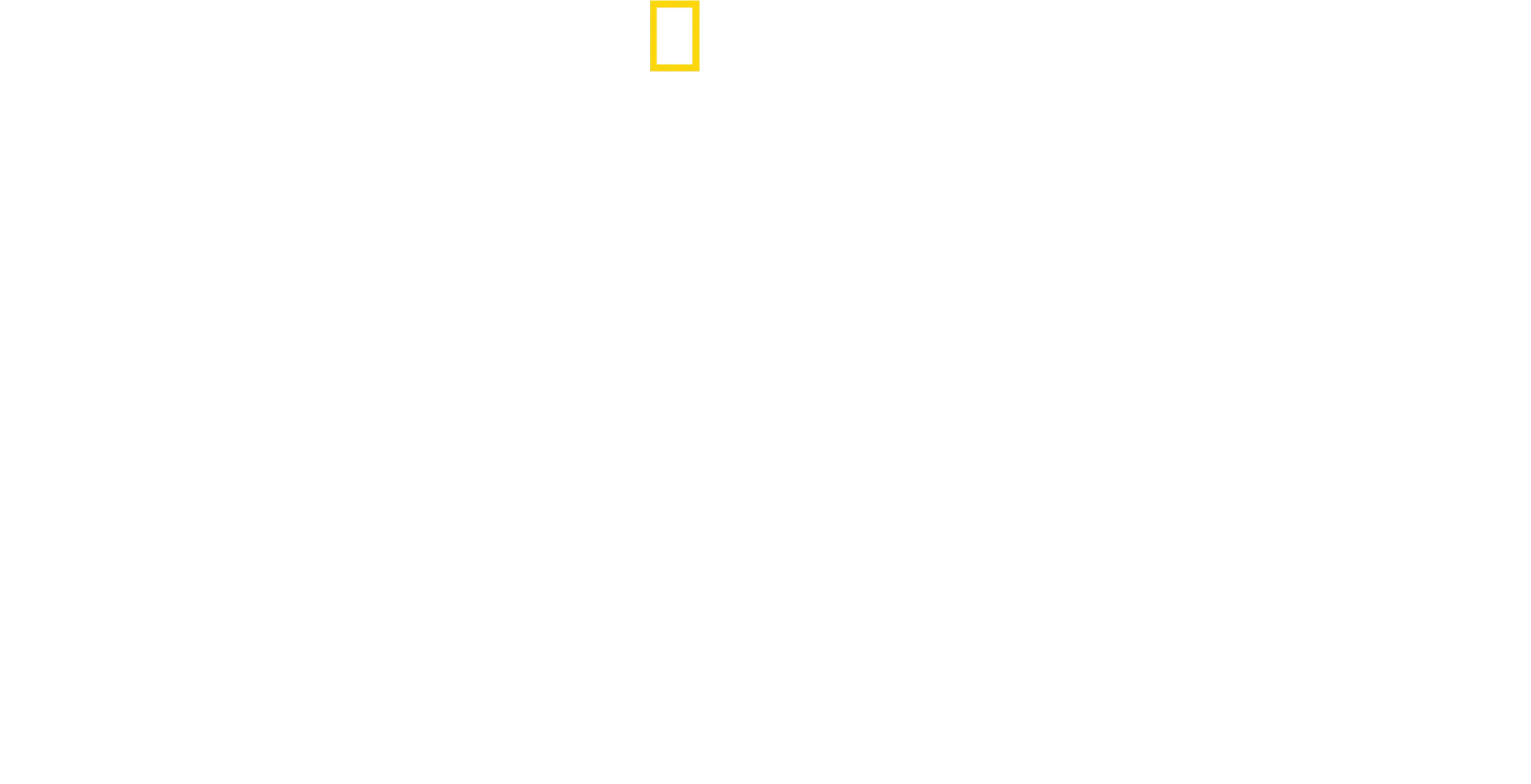 A gepárdok világa Bertie Gregoryval