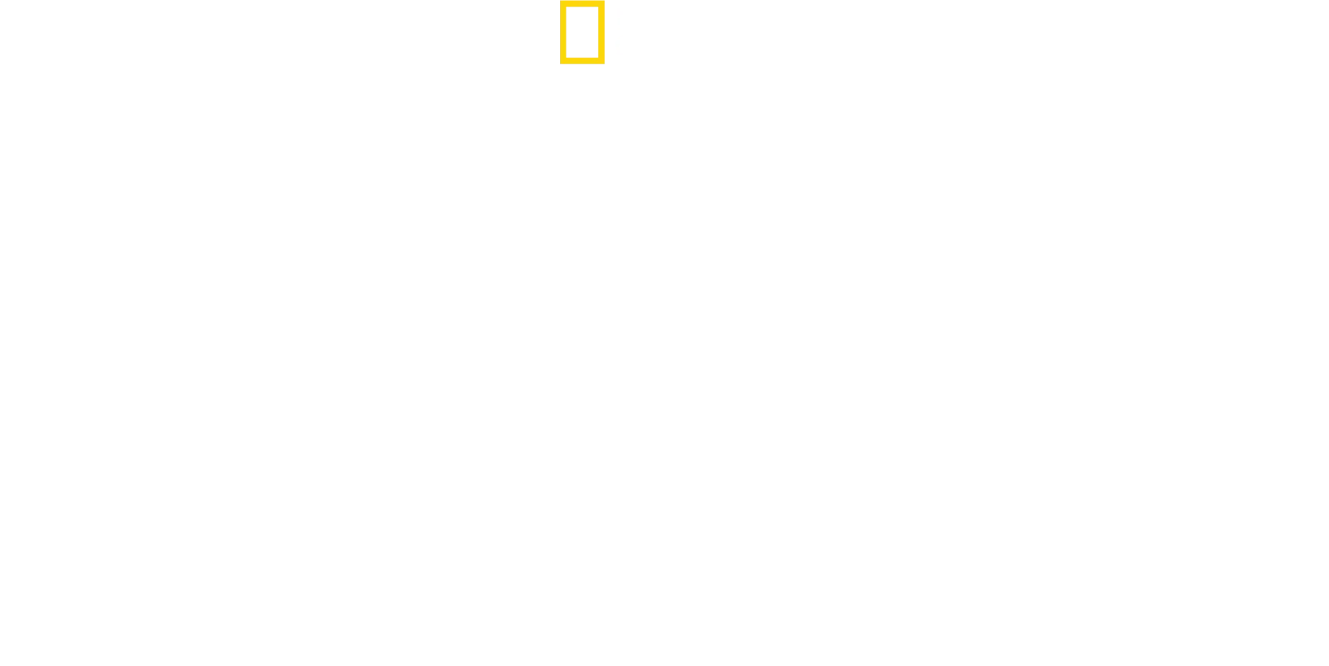 Guepardos de cerca con Bertie Gregory